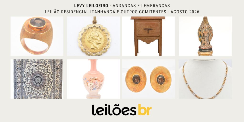 Levy Leiloeiro